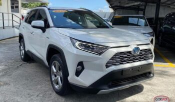 Toyota Rav4 Hybrid 2020 lleno